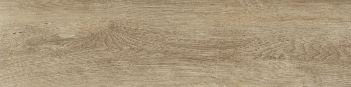 Noble Camel 22x90