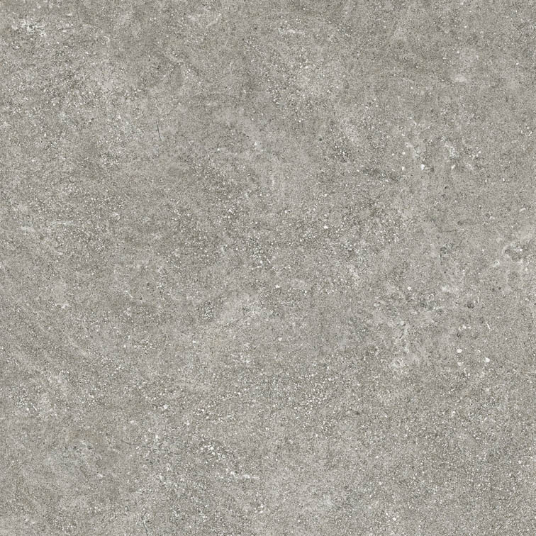 Axis Grey 60x60