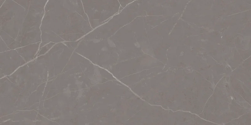 Muse Grey 30x60
