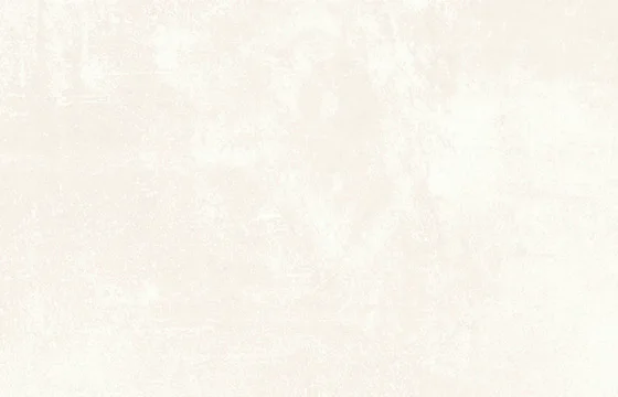 Alpe White 27x42