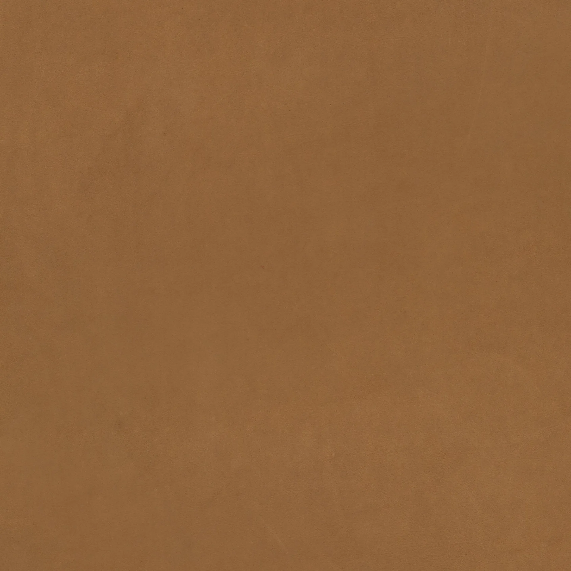 Close-up warm tan leather texture with subtle grain and soft matte finish.