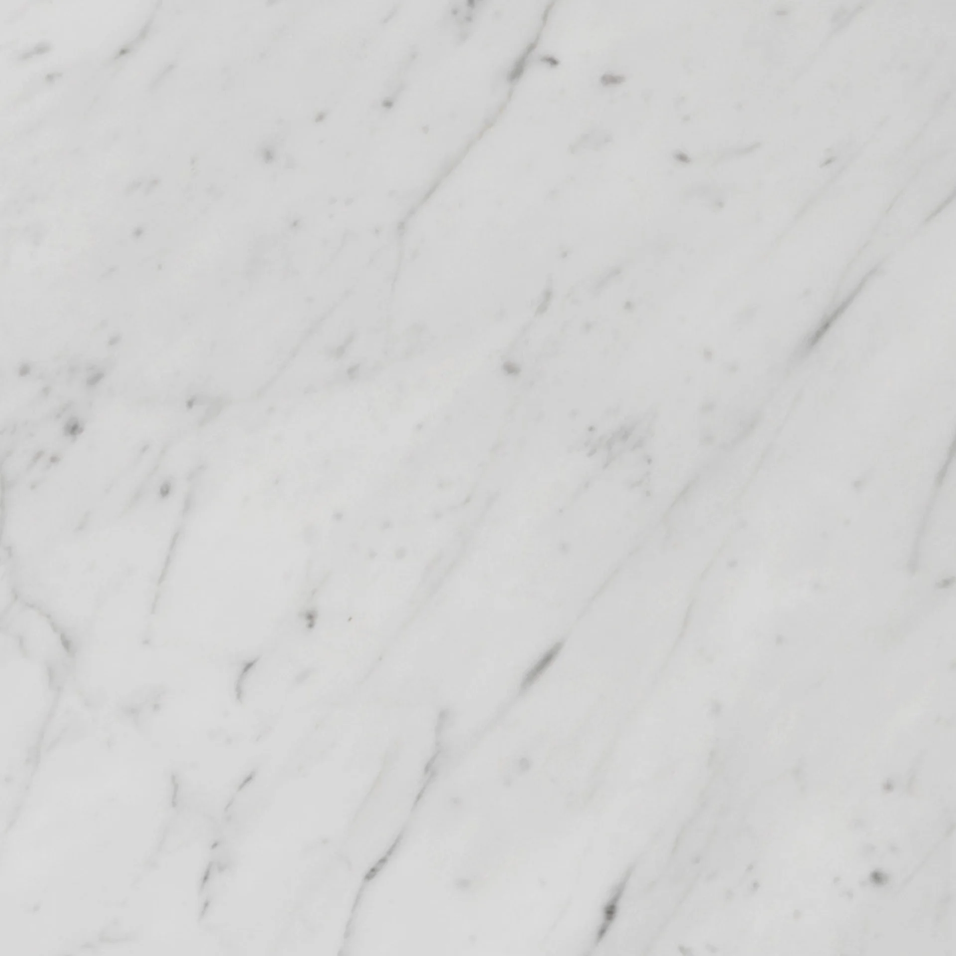 A close-up of the Carrara Marble sample, highlighting its white base with delicate, intricate light to medium grey veining.