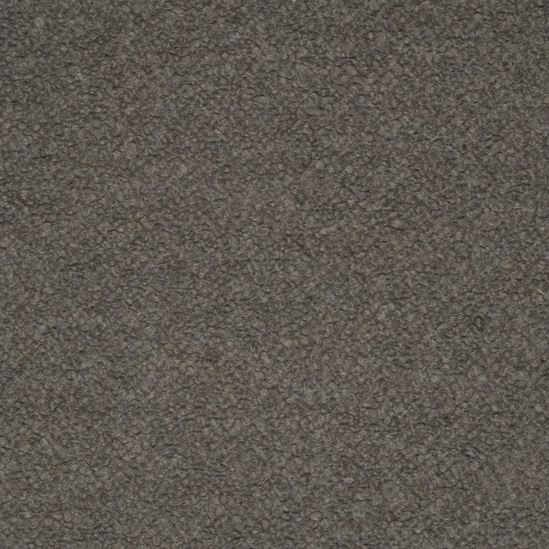 A close-up texture shot of the Barnum Bouclé 10 fabric, a dark grey material with a soft, looped and nubby feel.