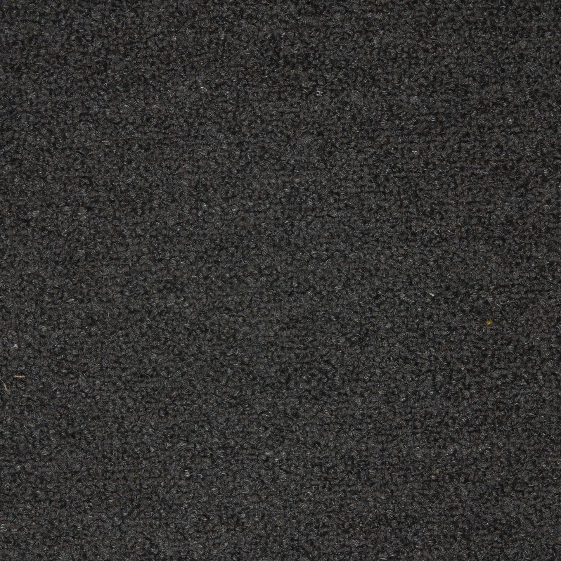 A close-up image of the Barnum C013 fabric swatch. The material is a dark grey bouclé with a dense, curly texture.