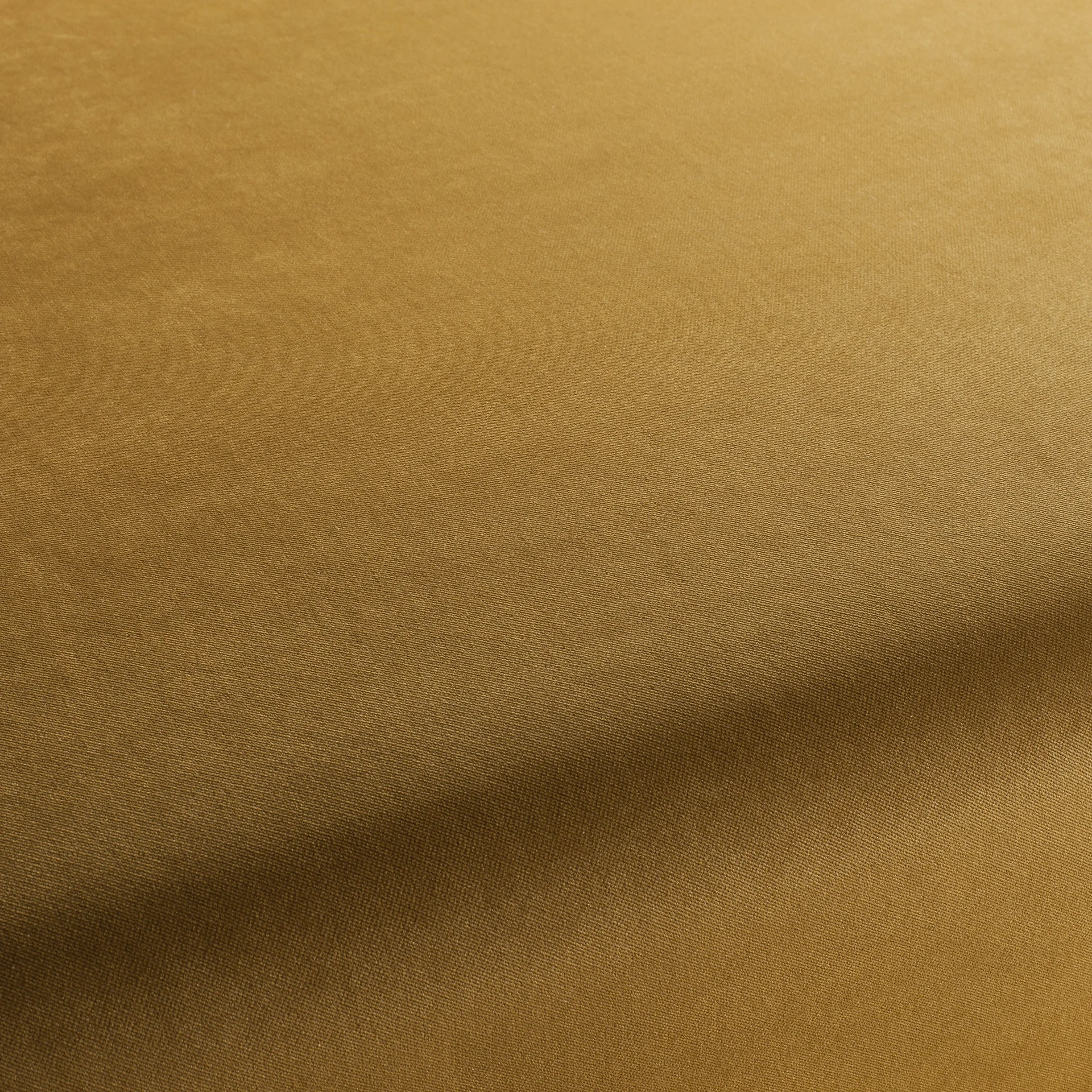 Golden mustard velvet fabric with soft nap and subtle diagonal texture close-up