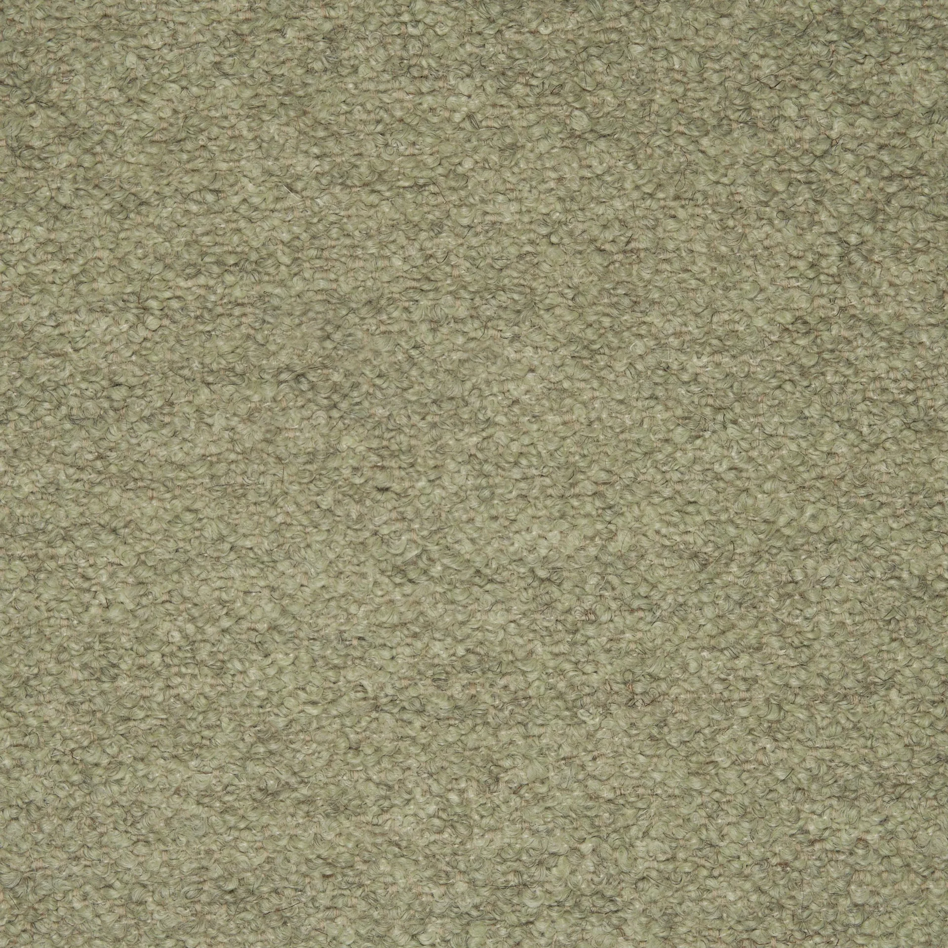 Close-up texture of Barnum C007 fabric, showing a nubby, looped bouclé weave in a muted, earthy green colour.