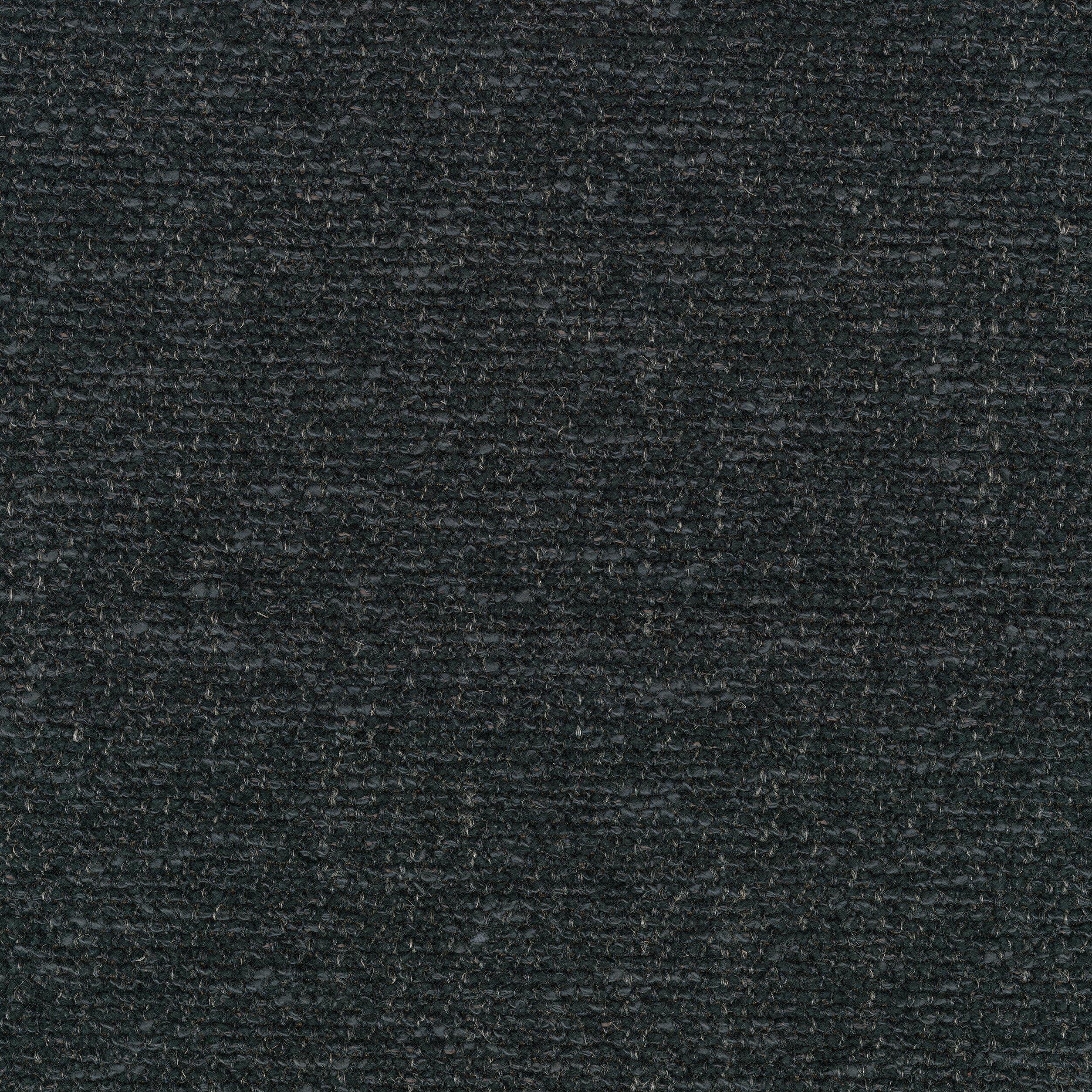 A close-up swatch of Moss 0008 fabric, a dark grey bouclé with a heavily textured, looped weave and flecks of lighter thread.