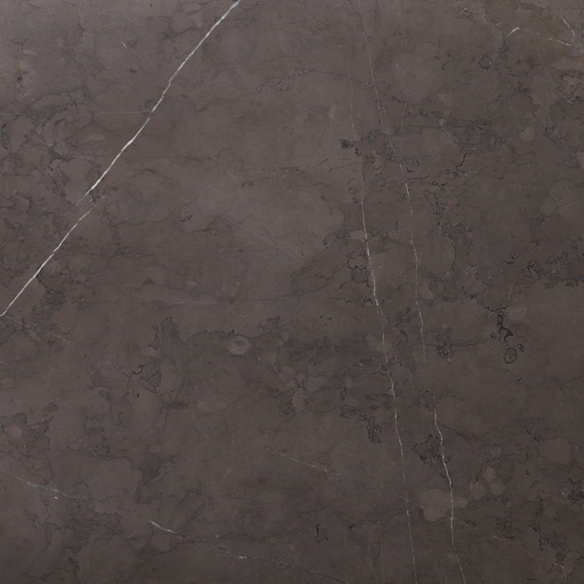 Close-up of a Grey Kendzo Marble slab, showing its dark grey surface with distinctive white and dark grey veining throughout.