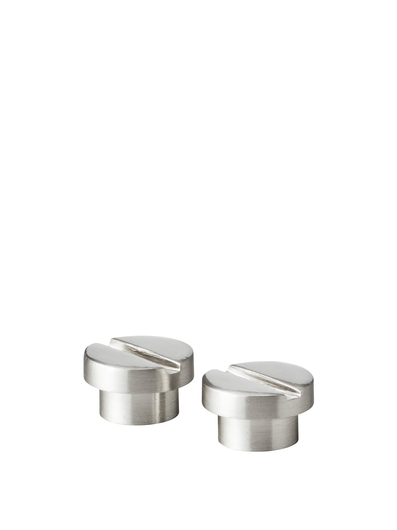 A pair of brushed steel mounting screws for the Audo Rail System. The screws feature a wide, flat head with a single slot.
