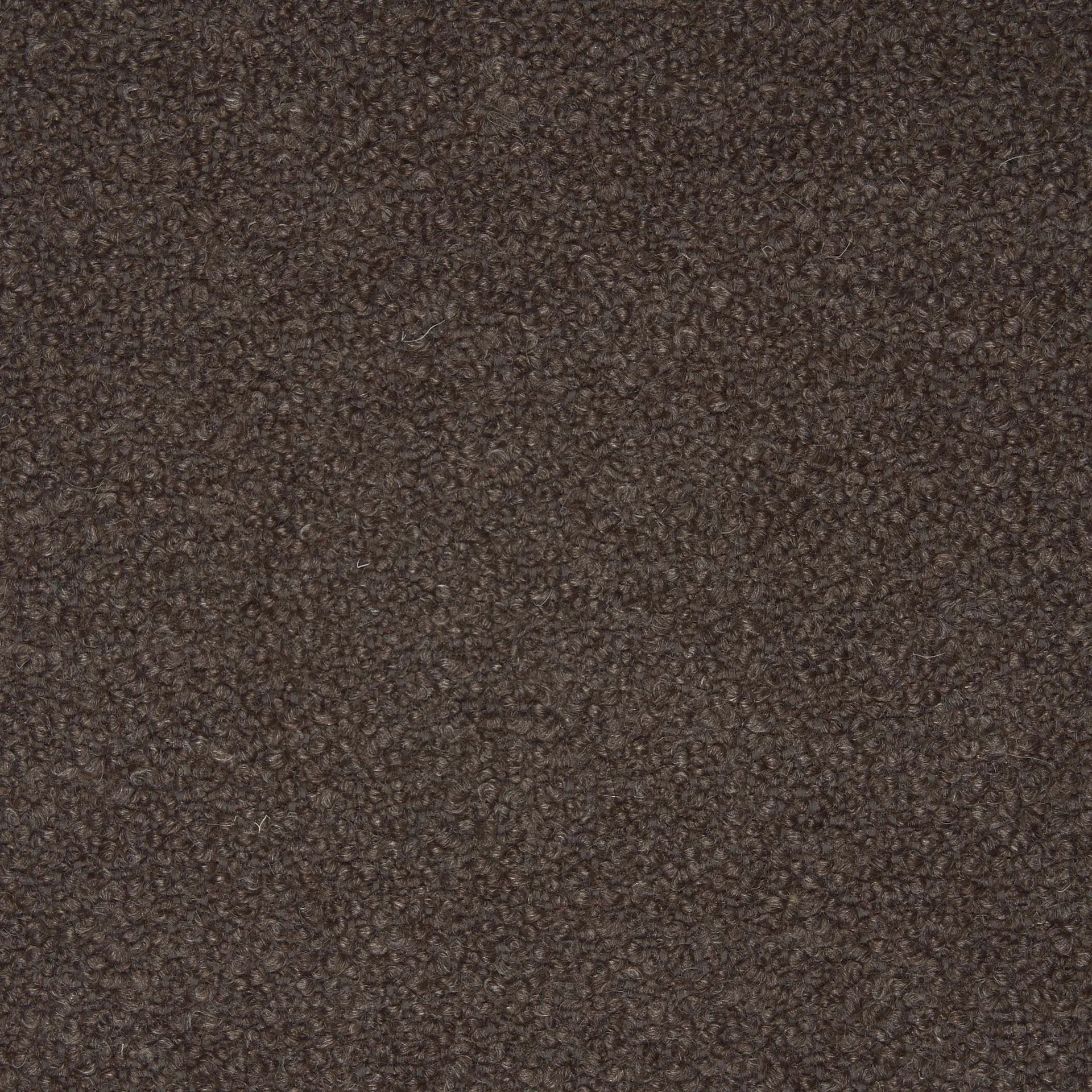 Close-up of dark brown looped wool textile with dense curly pile texture.