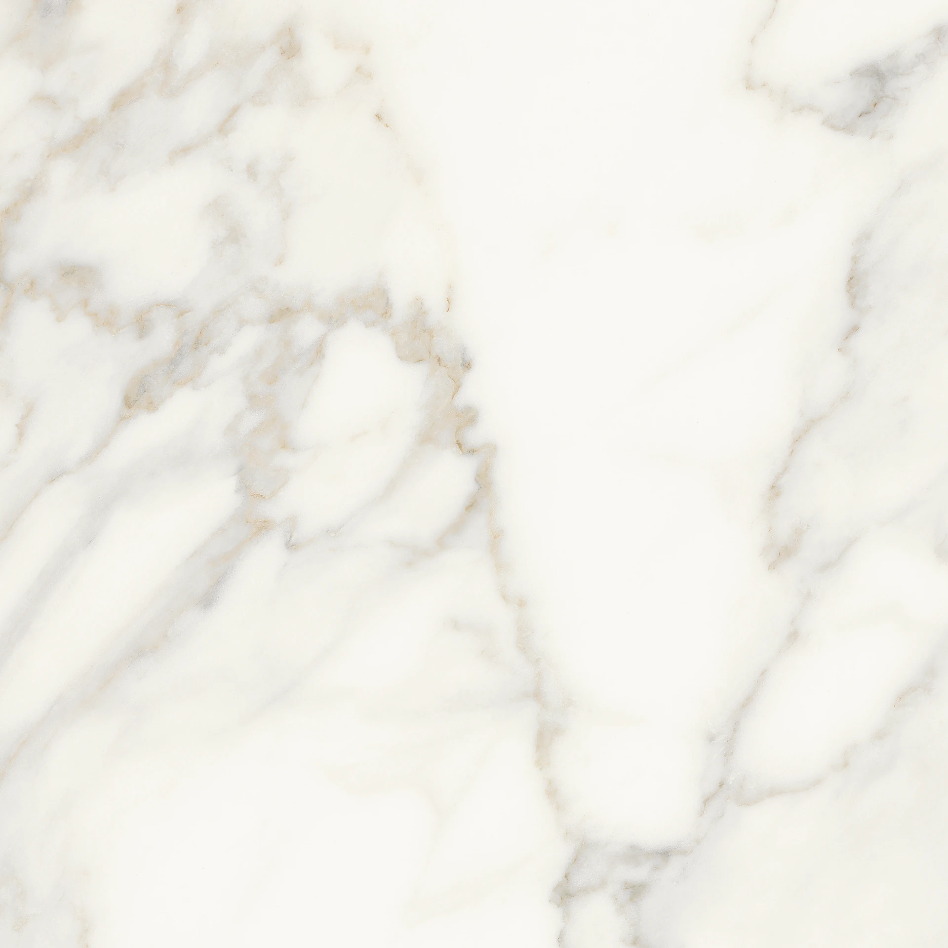 Calacatta Oro Calacatta Oro 60x60