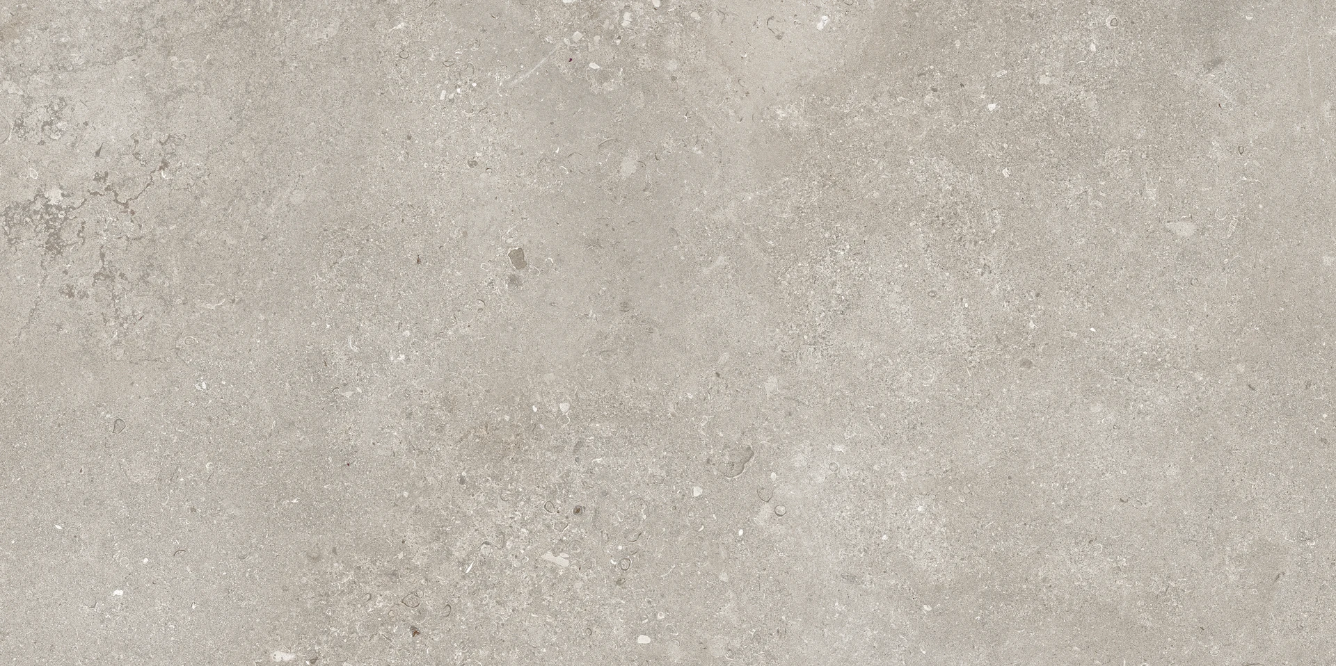 Goldstone Cinza 60x120