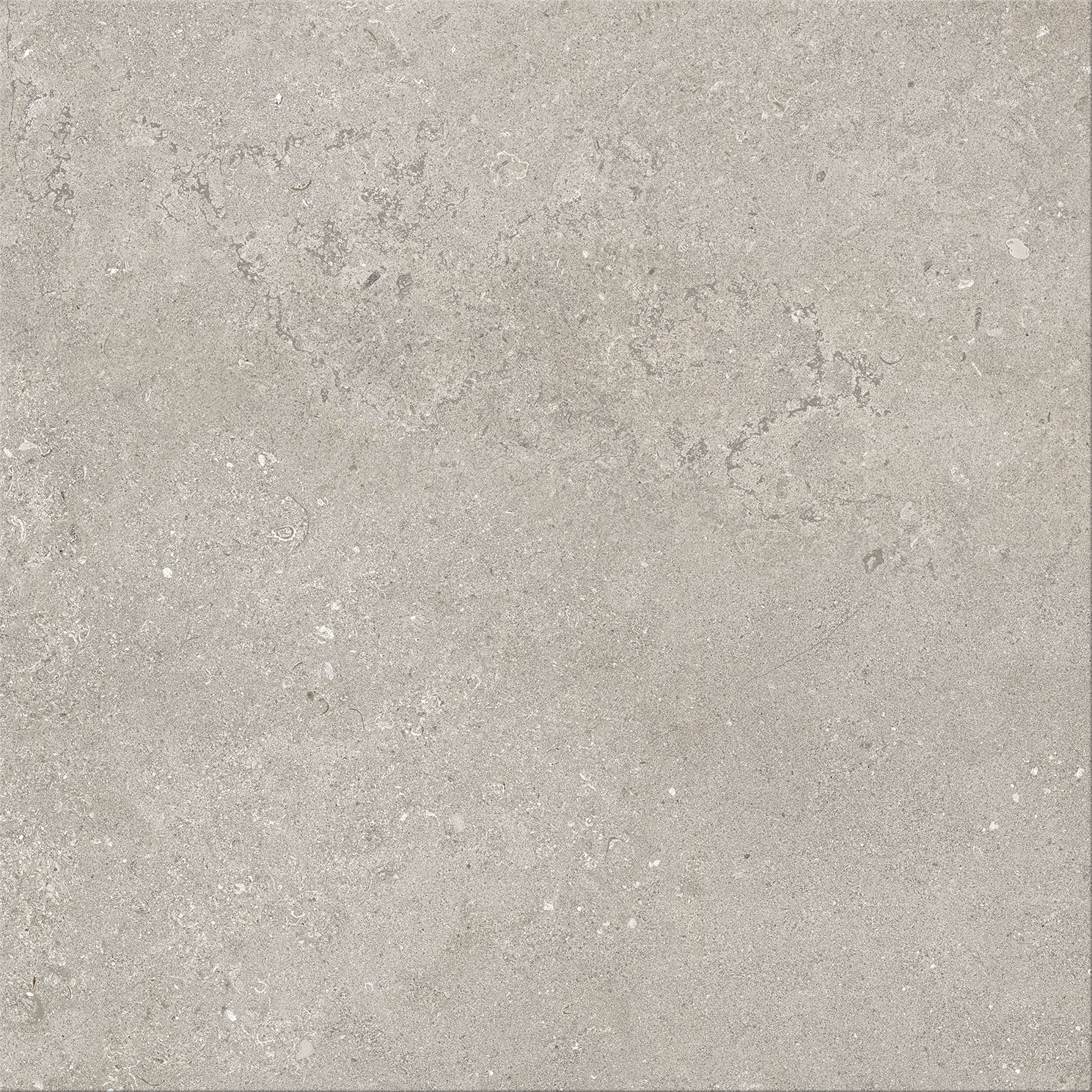 Goldstone Cinza 60x60