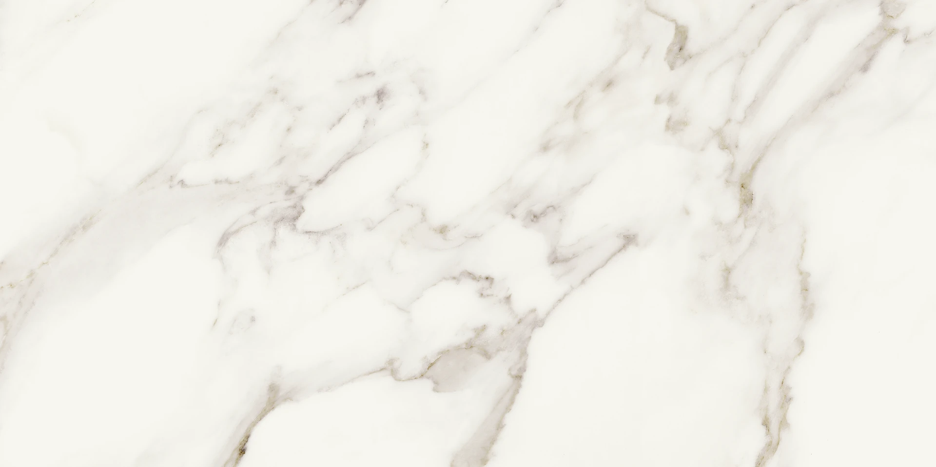 Calacatta Oro Calacatta Oro 60x120