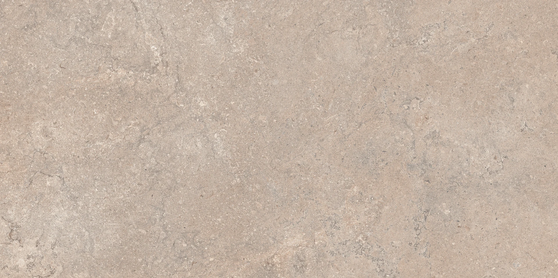 Goldstone Taupe 60x120