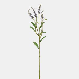 Planta floral LAVANDA 68cm marca CONFORAMA by Conforama, photo 1