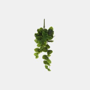 Planta artificial suspensa PEPEROMIA marca MYCA da Conforama, fotografia 1