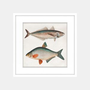 Pintura PECES 42x42cm marca MARCOMUEBLE by Conforama, photo 1