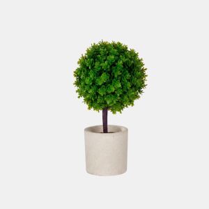Planta floral ARBOL VERDE em vaso de cimento 24cm sortidas by Conforama, photo 1