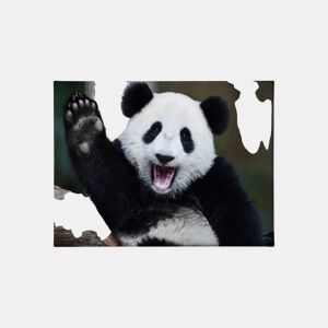 Tela PANDA 60x80cm marca Conforama da Conforama, fotografia 1