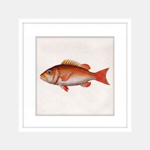 Pintura PEZ NARANJA 42x42cm marca MARCOMUEBLE da Conforama, fotografia 1