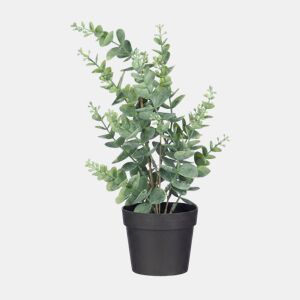 Planta floral EUCALIPTO 35cm sortido by Conforama, photo 1