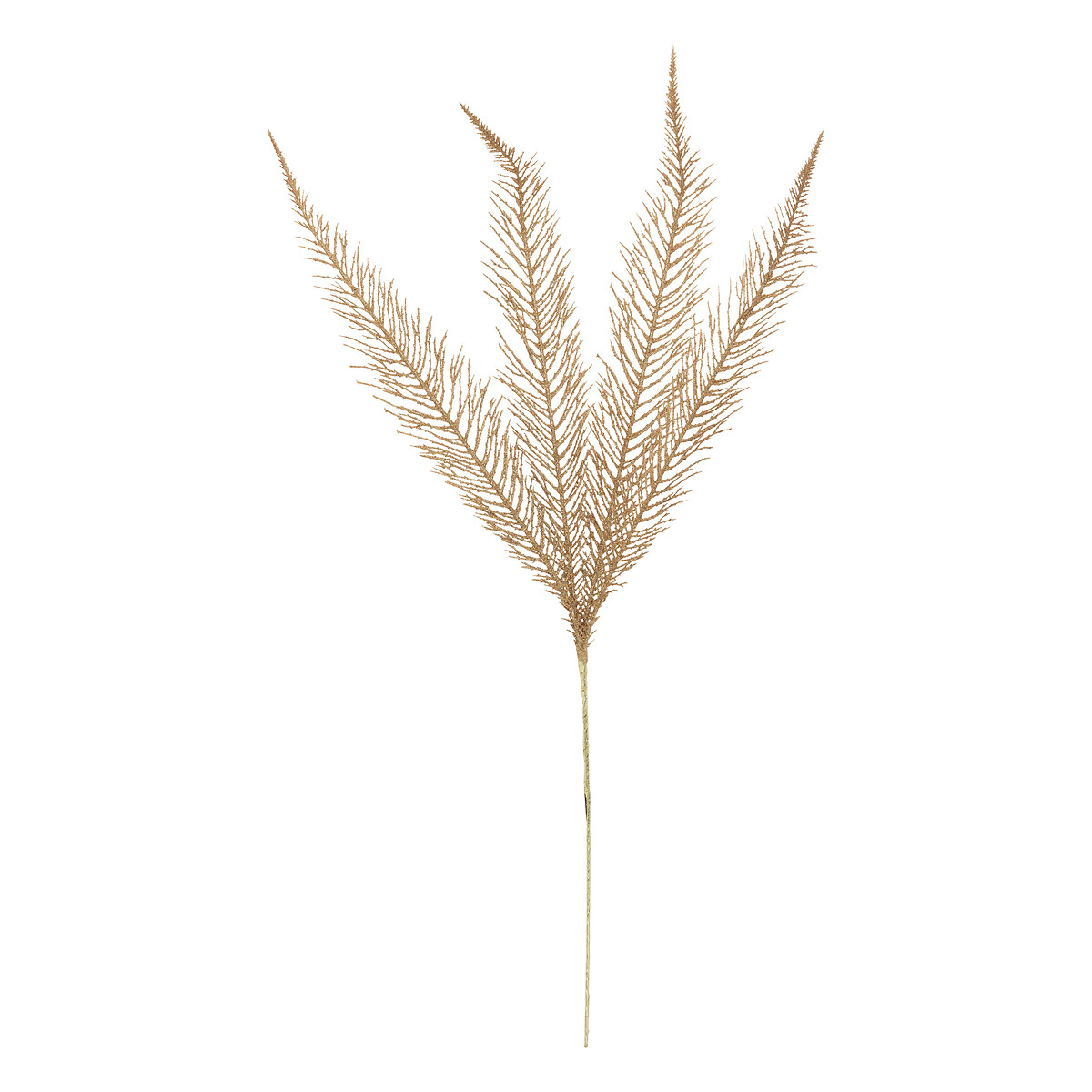 Haste cipreste dourado 75cm da hôma, fotografia 1