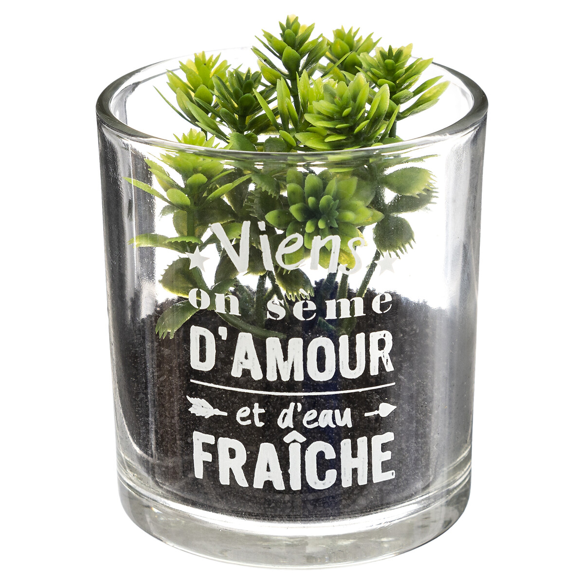 Vaso de vidro com planta 9,5x7cm da hôma, fotografia 1
