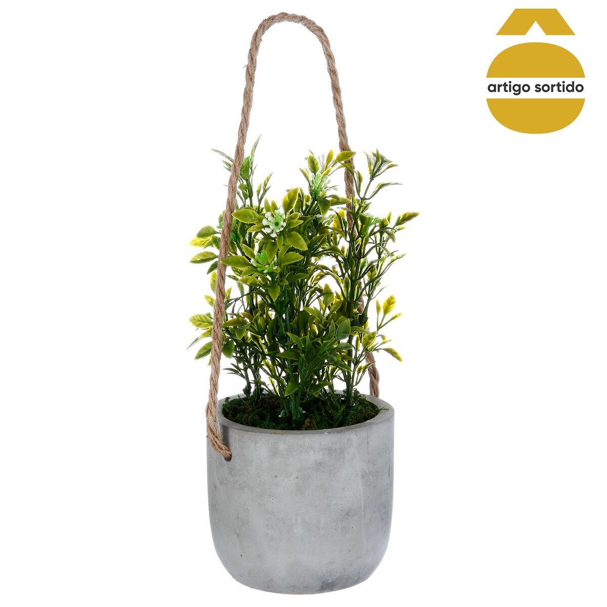 Vaso cimento suspenso com planta 25cm da hôma, fotografia 1