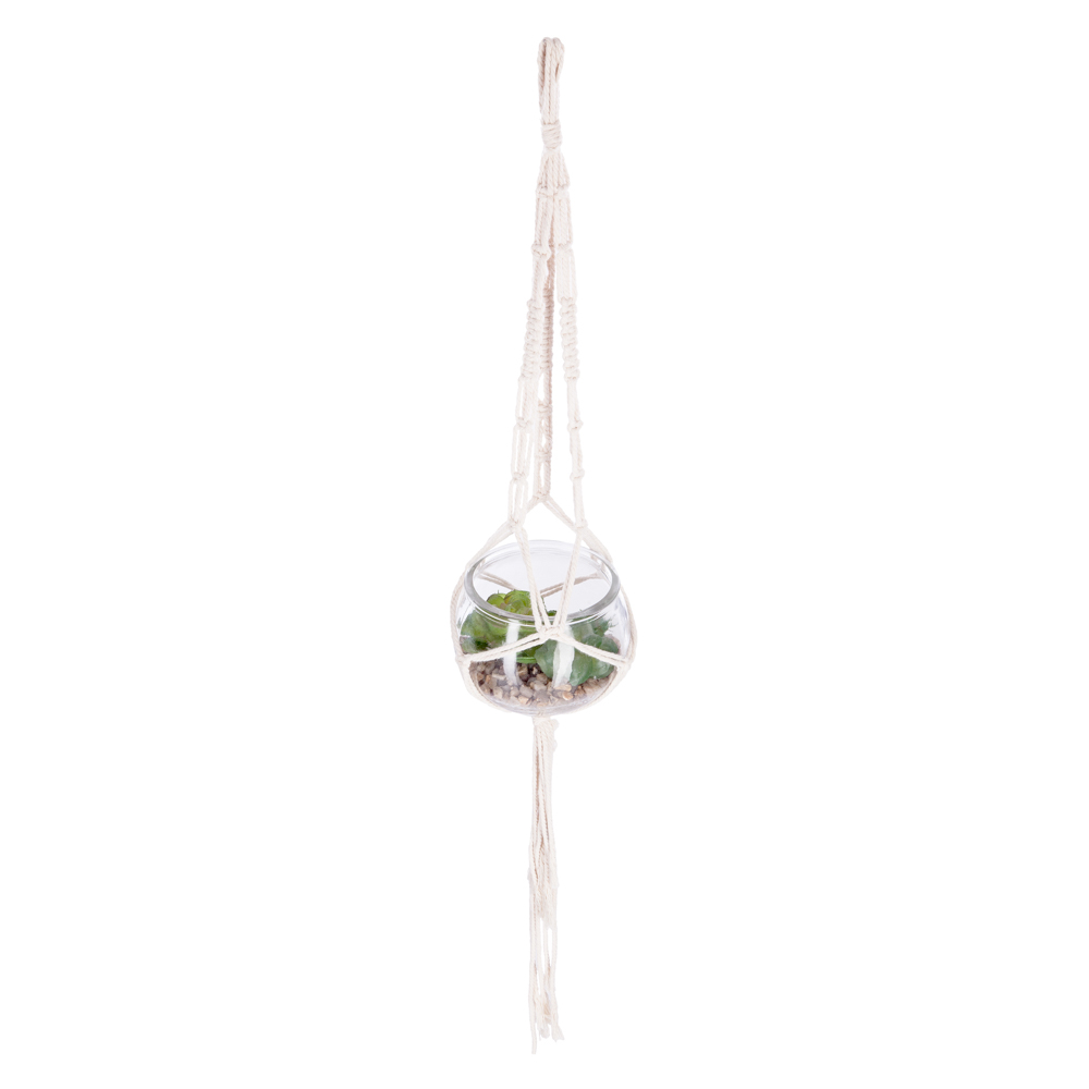 Jarra de vidro suspensa com planta artificial da hôma, fotografia 1