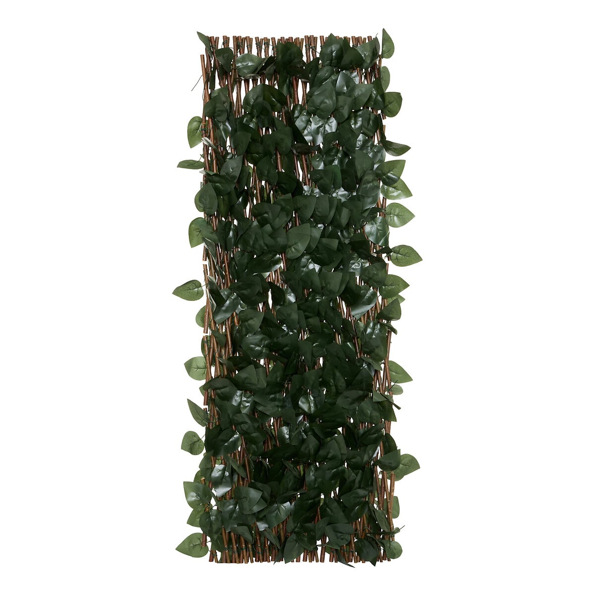 Jardim vertical NAO 200x100cm by hôma, photo 1