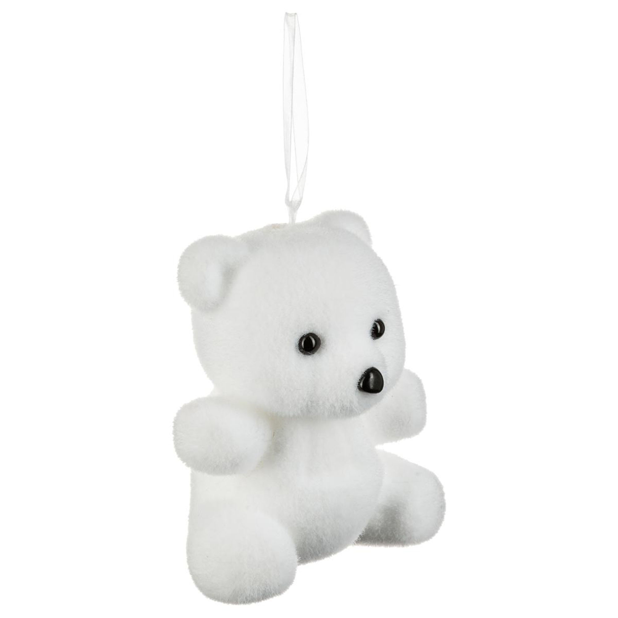 Urso branco da hôma, fotografia 1