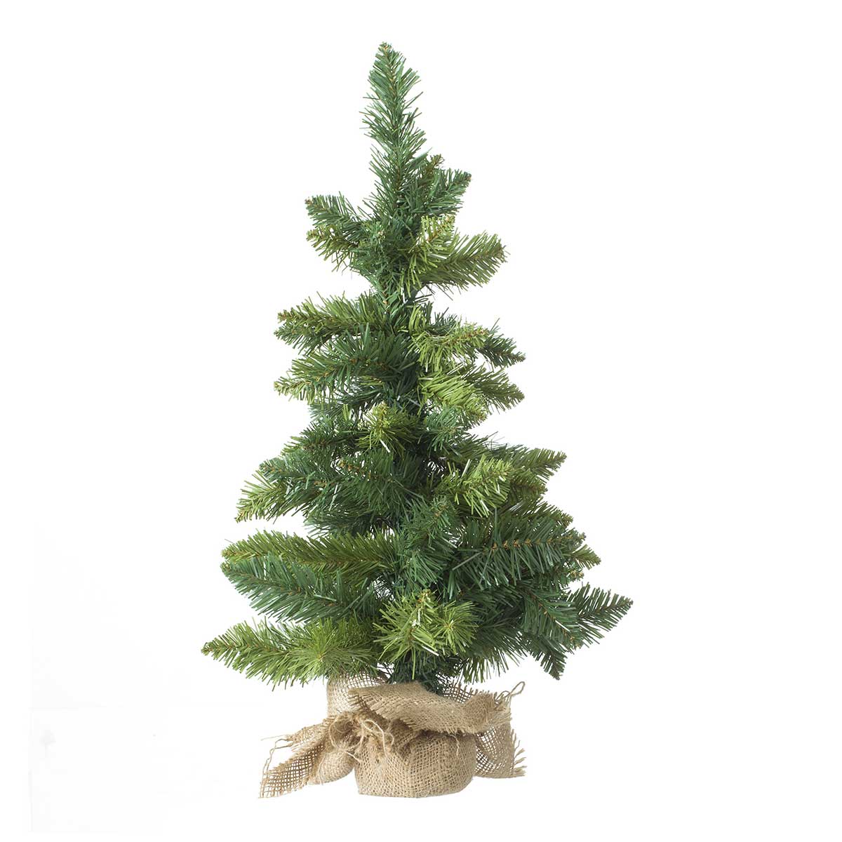 Árvore de natal bloming verde da hôma, fotografia 1