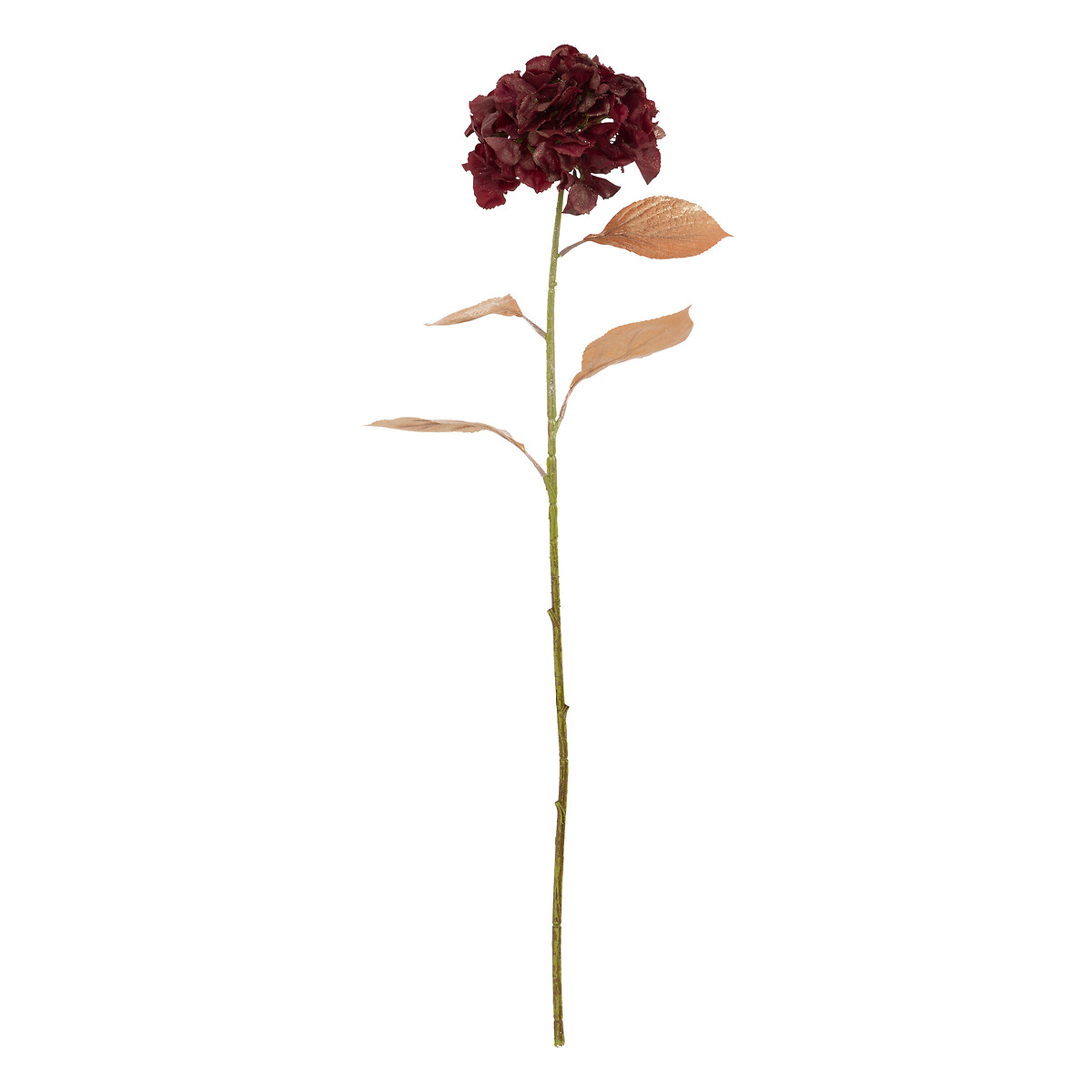 Haste hortensia 66 cm da hôma, fotografia 1