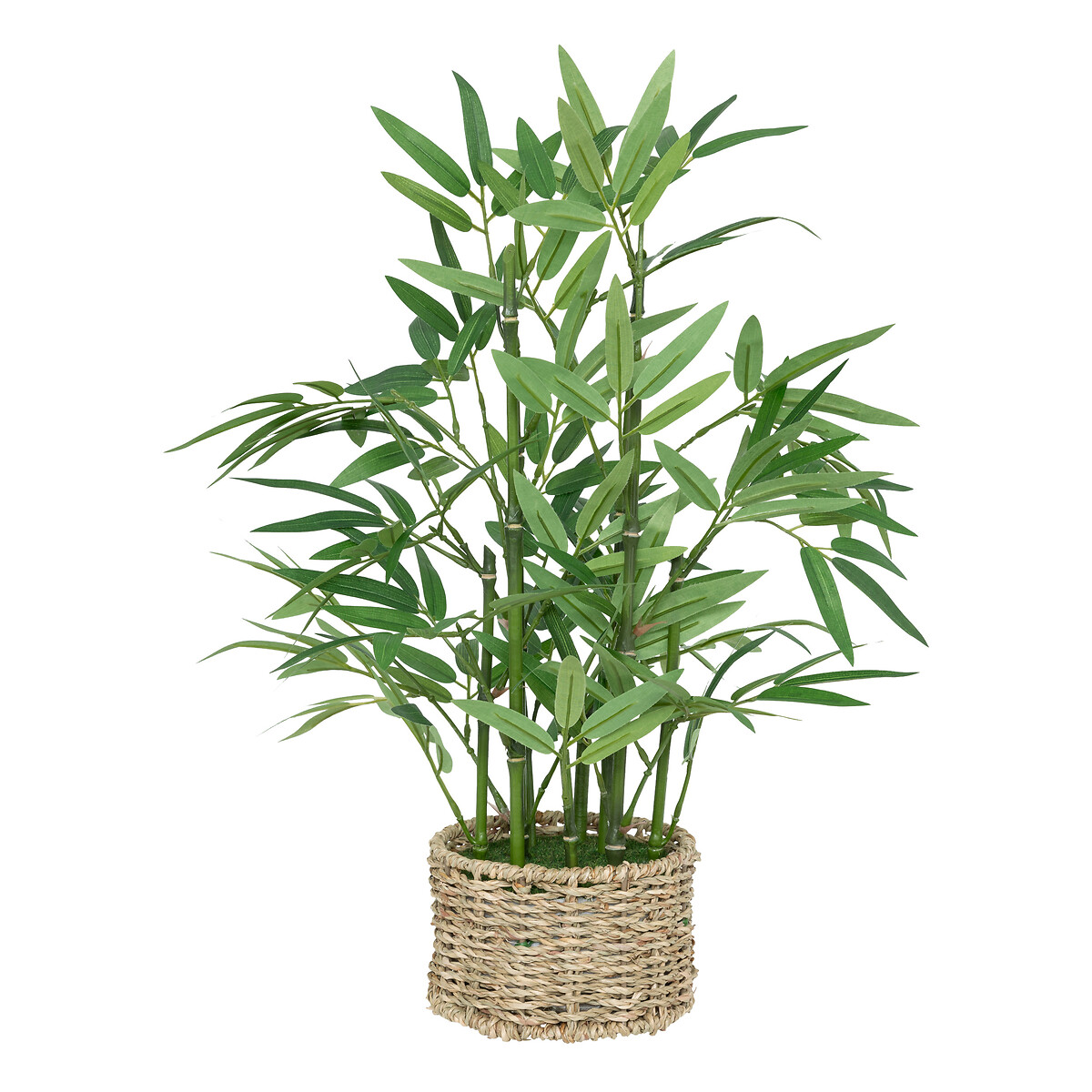 Bambu artificial com cesto de ráfia da hôma, fotografia 1
