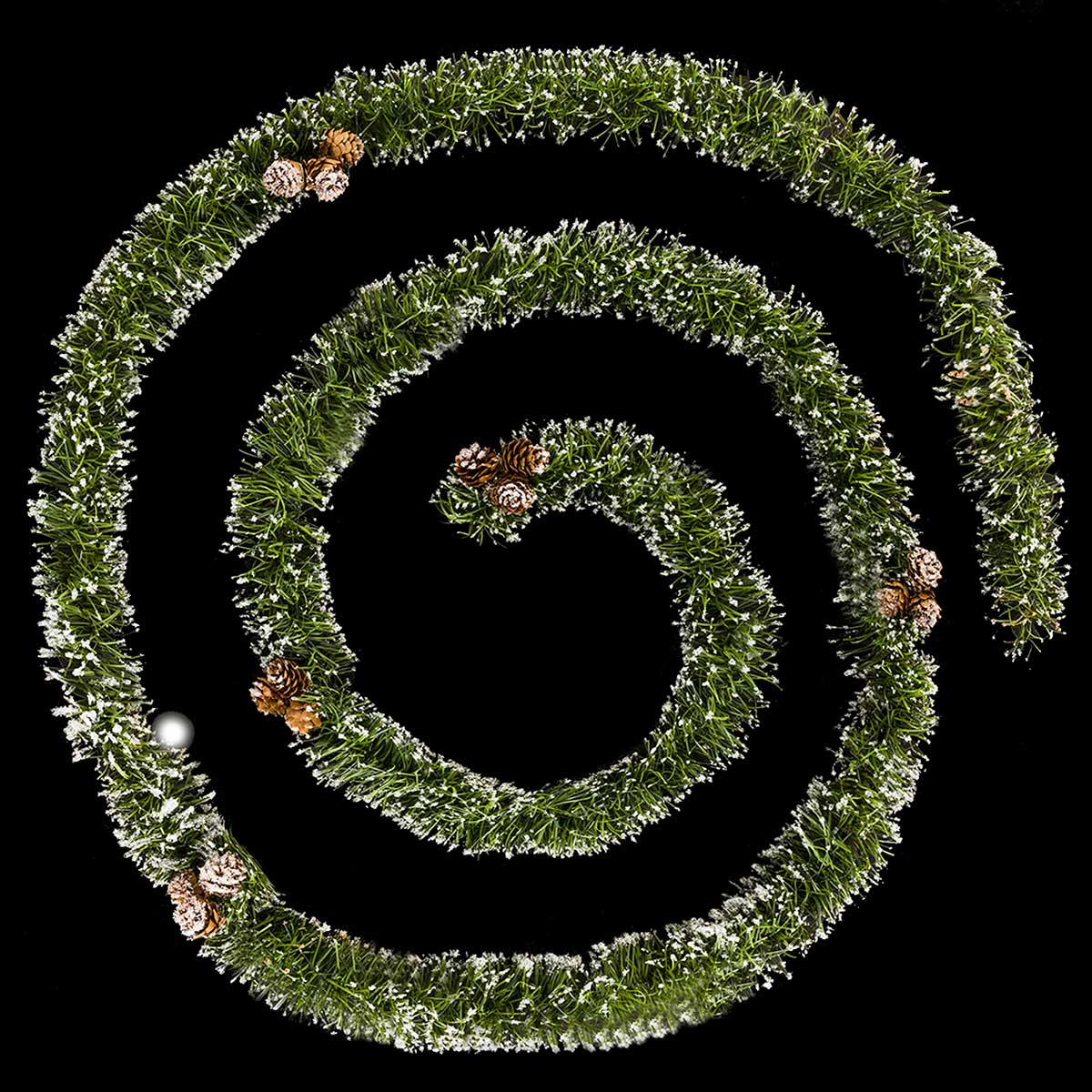 Grinalda verde com pinhas da hôma, fotografia 1