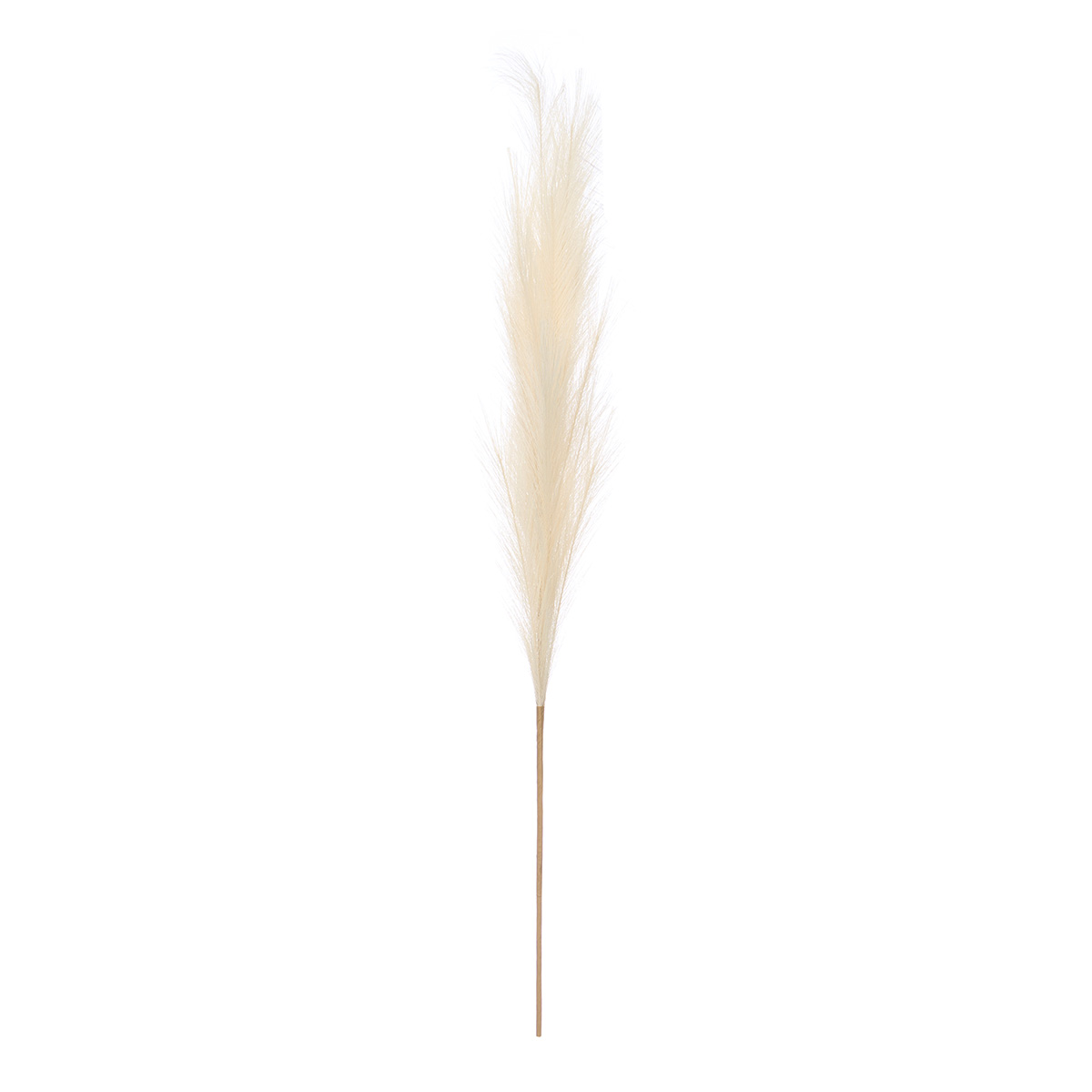 Haste pampas artificial branco 110cm da hôma, fotografia 1