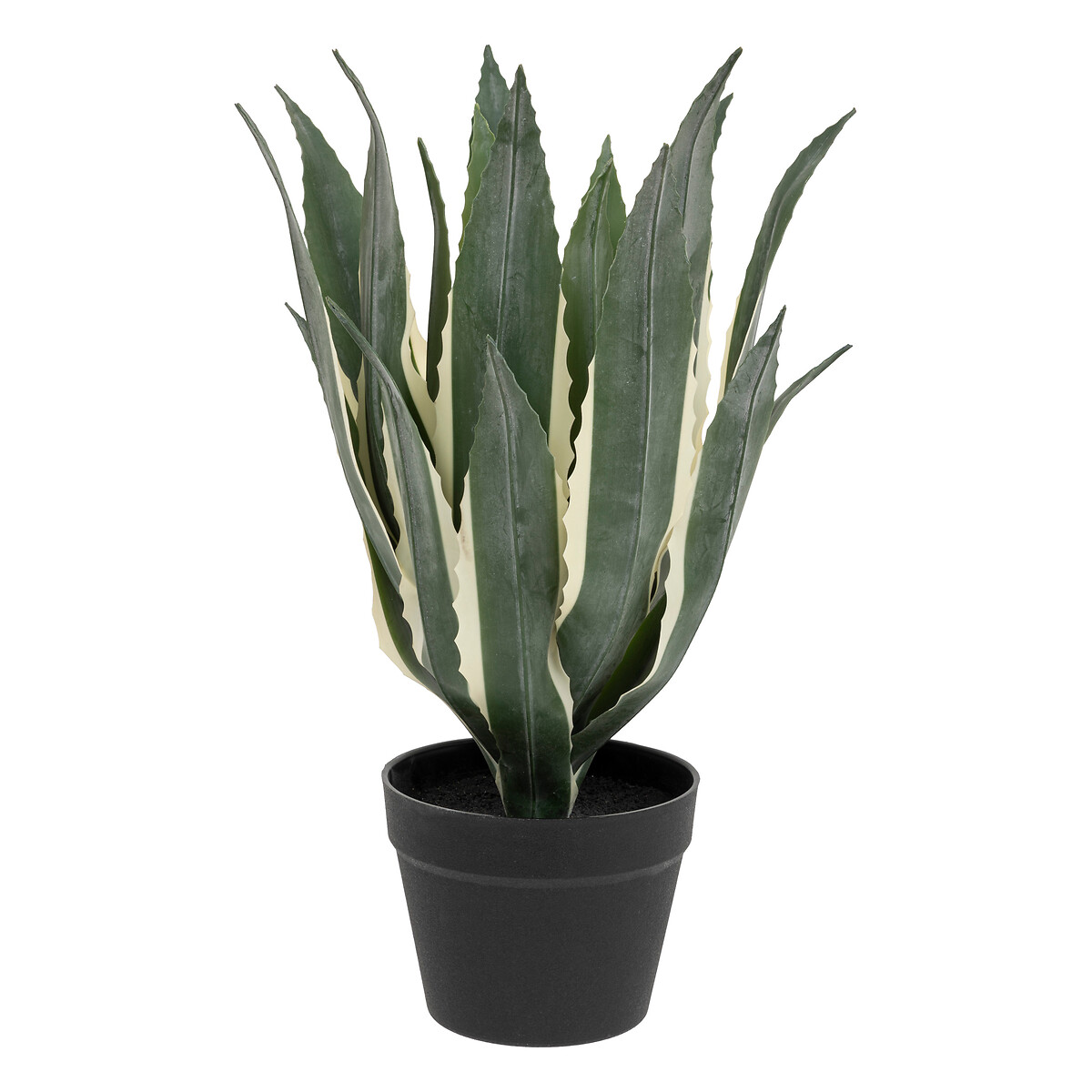 Planta agave verde 55cm da hôma, fotografia 1