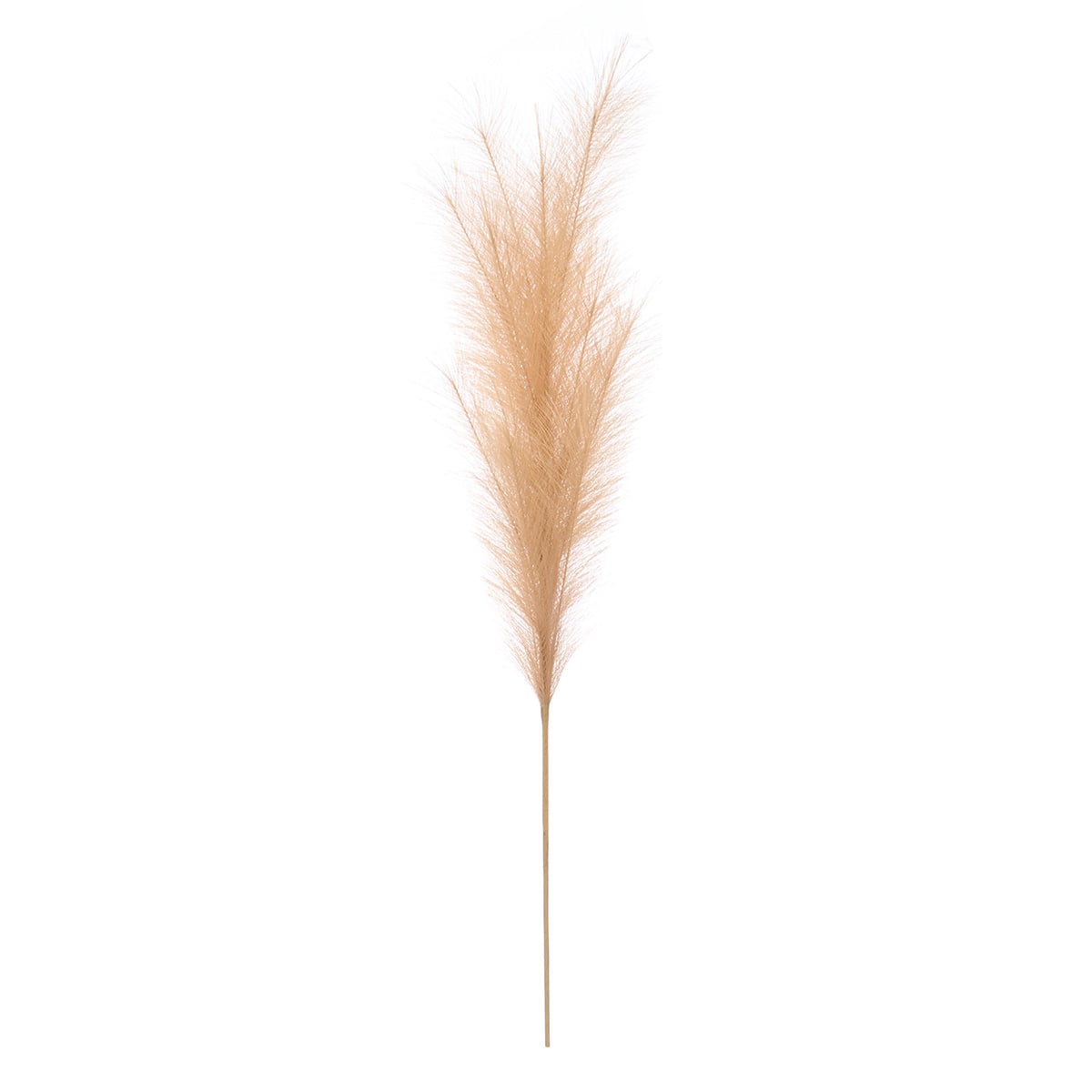 Haste pampas artificial bege 110cm by hôma, photo 1