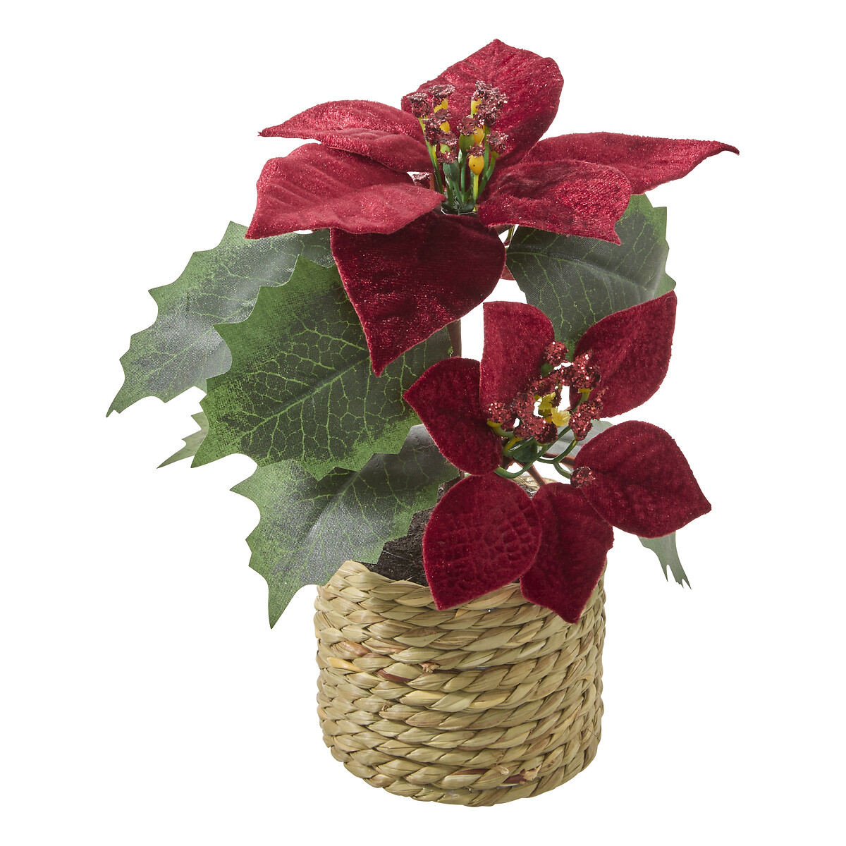 Vaso com poinsettia em veludo bordeaux 7.5x20cm by hôma, photo 1