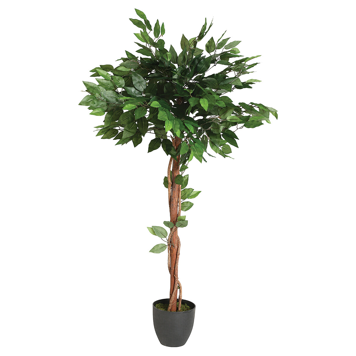 Planta artificial ficus 120cm by hôma, photo 1