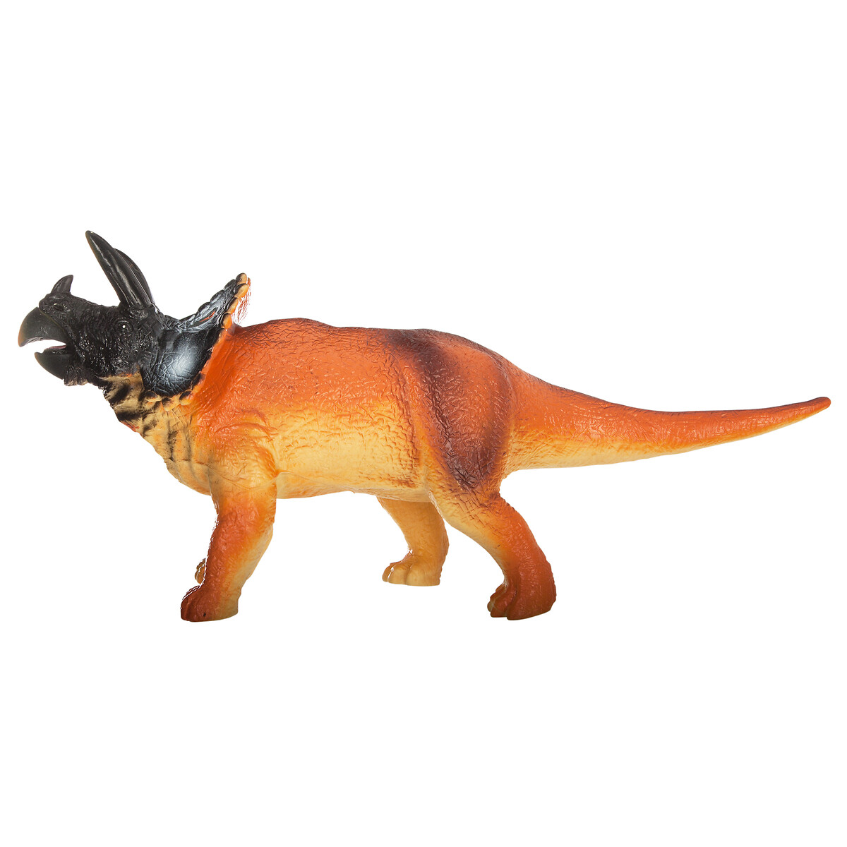Dinossauro triceratops da hôma, fotografia 1