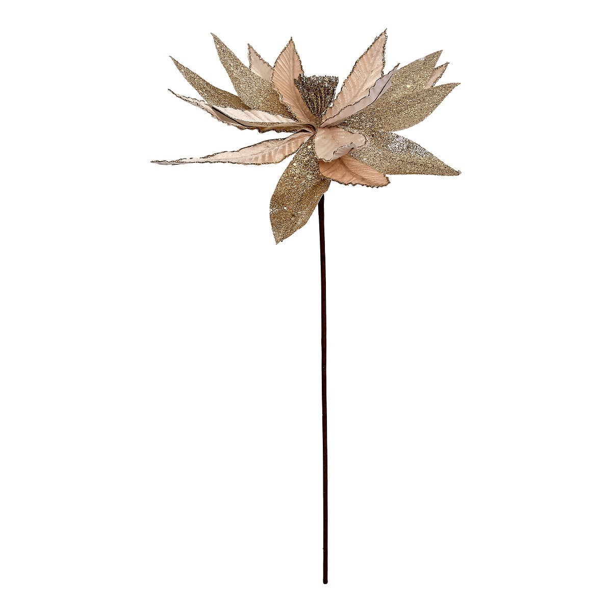 Haste Poinsettia dourado 50cm da hôma, fotografia 1