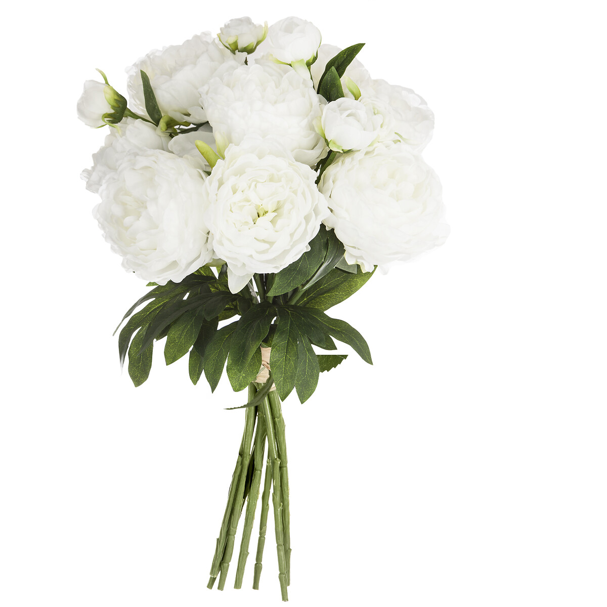 Bouquet de 13 peônias brancas 50cm da hôma, fotografia 1