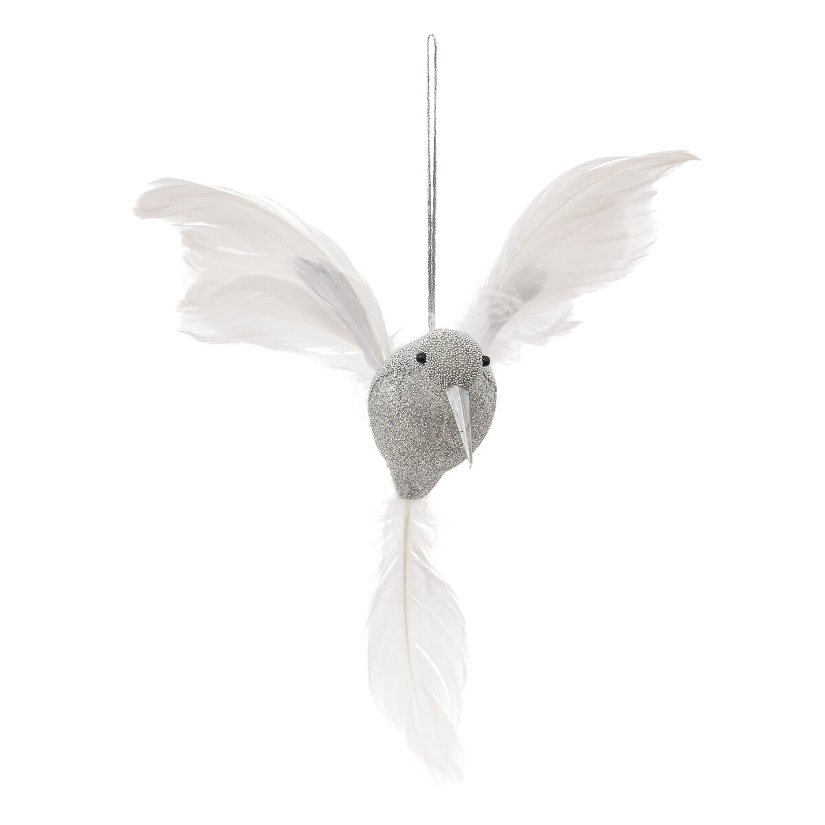 Pássaro prateado com asas pluma da hôma, fotografia 1