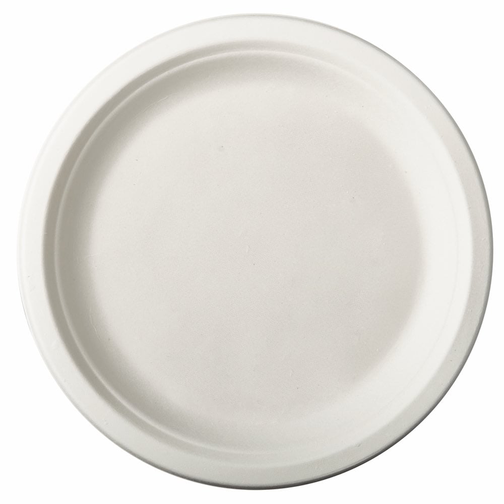 Conjunto pratos em cana de açúcar 26cm da hôma, fotografia 1