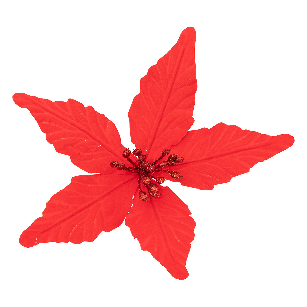 Flor poinsétia vermelho matte com mola da hôma, fotografia 1
