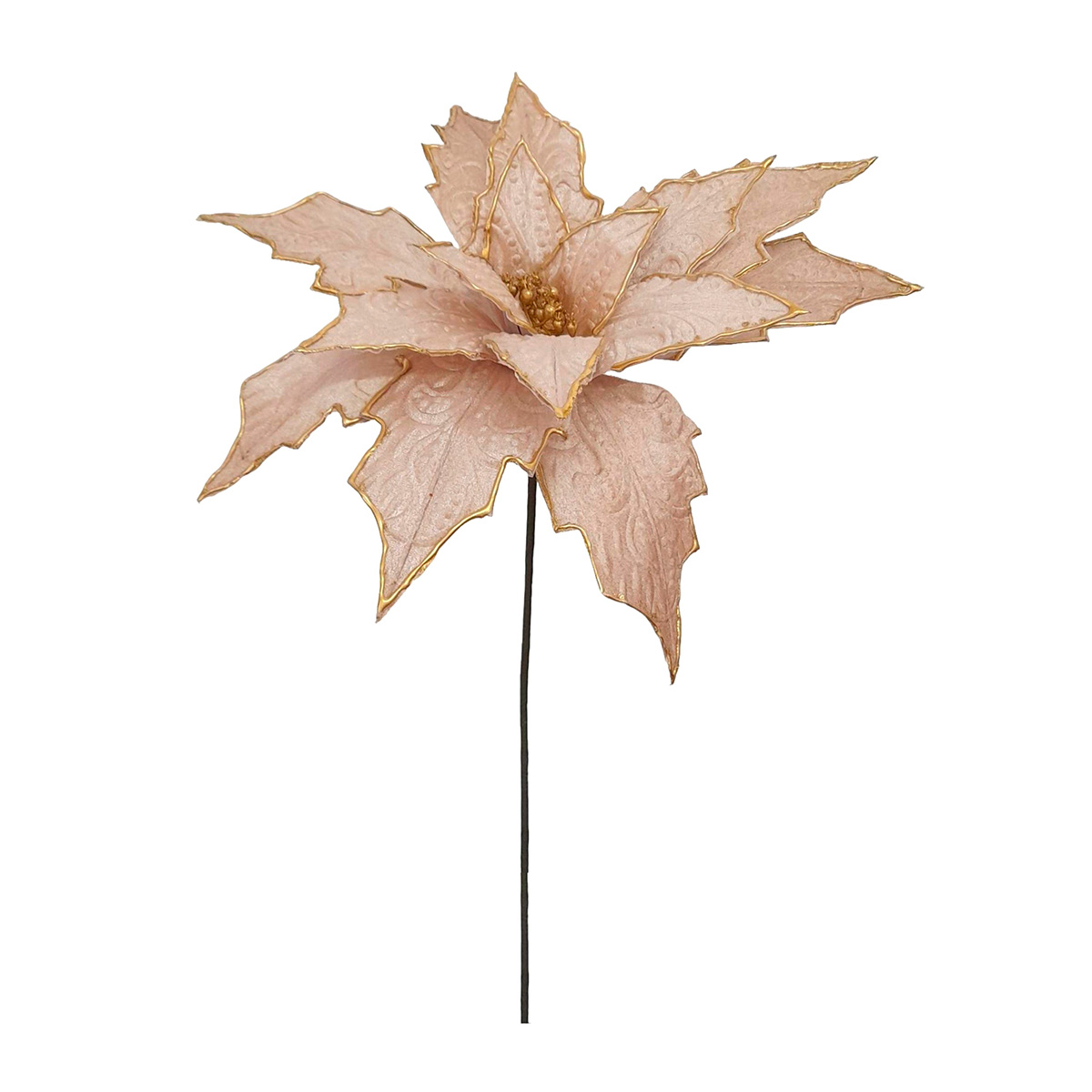 Haste poinsétia champanhe 50cm by hôma, photo 1