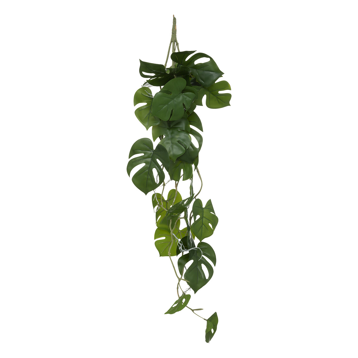 Haste de monstera suspensa verde by hôma, photo 1