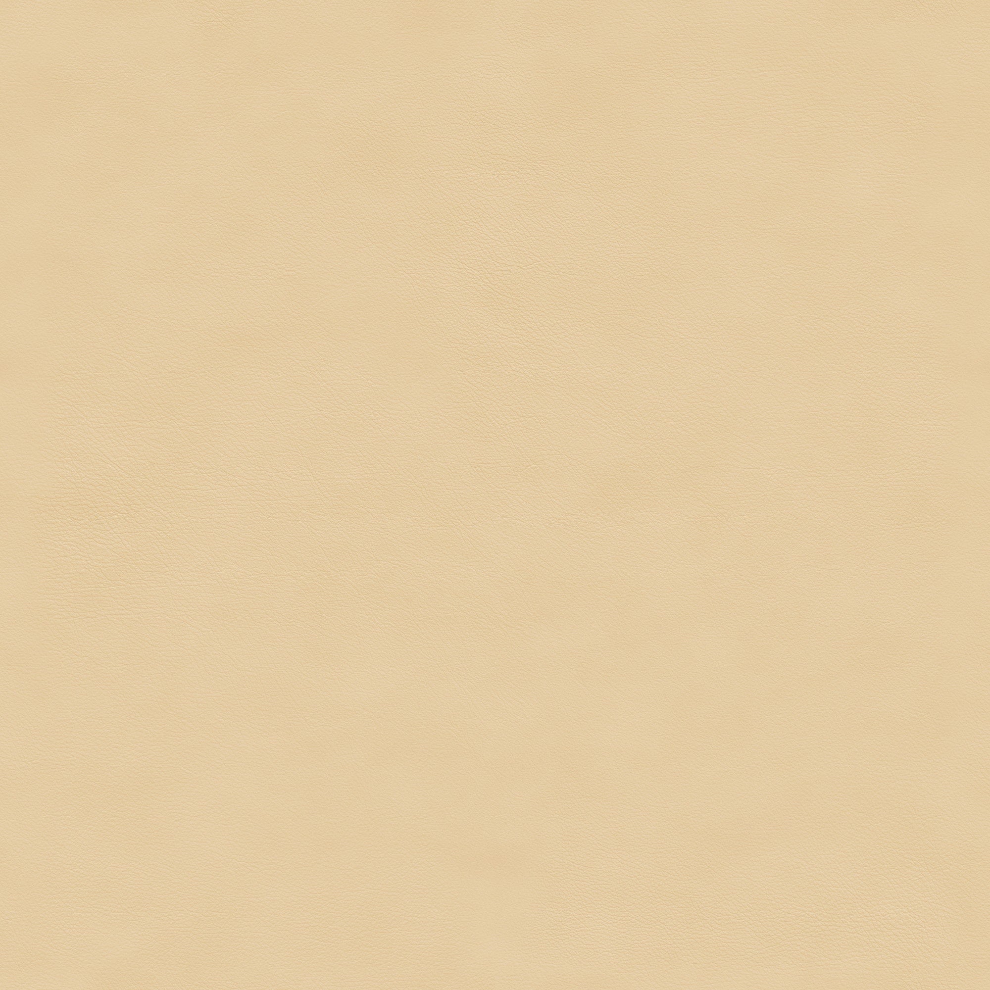 Nuance Col 40795 Sand da Audo Copenhagen